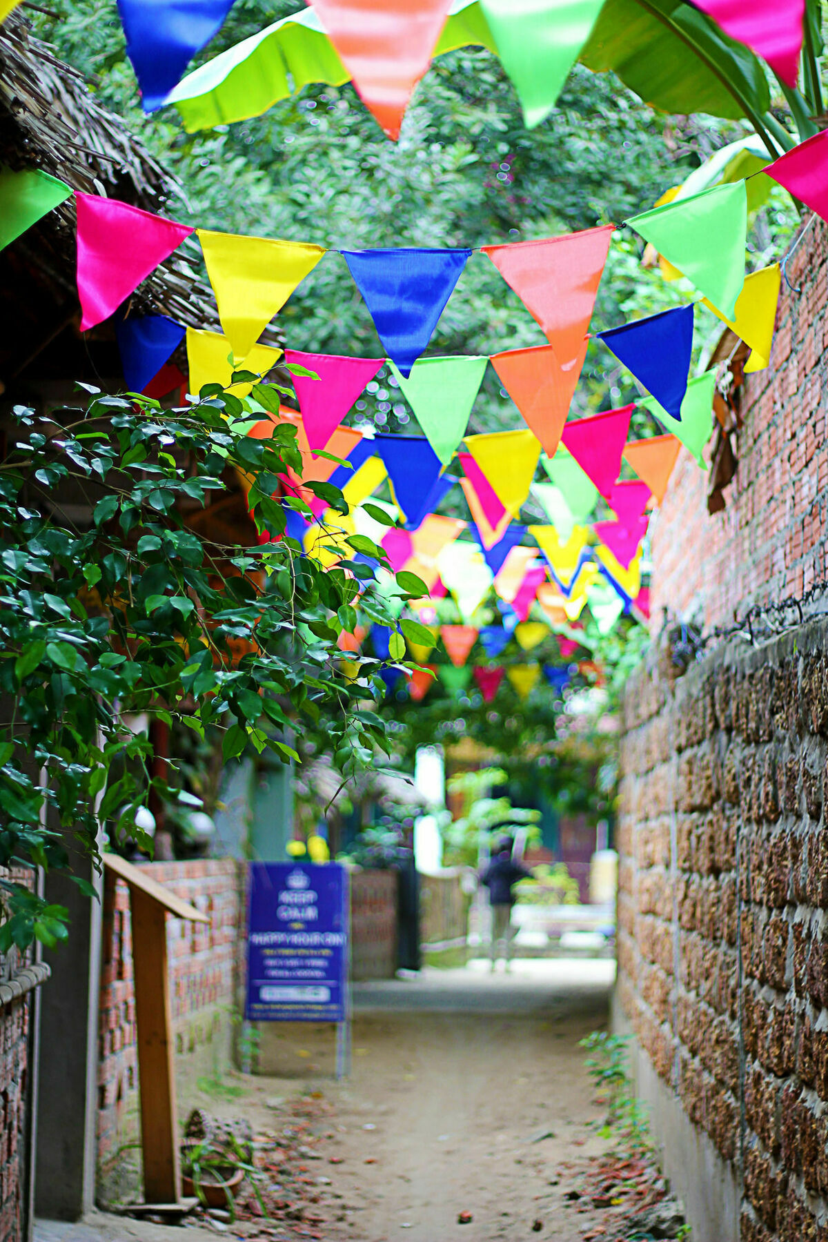 Lang Dong An Bang Bed & Breakfast Hoi An Bagian luar foto